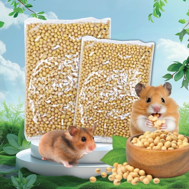 KEDELAI 500 GR - Biji Hamster Makanan Hamster Soybean Protein Bayi Hamster Memperbanyak Air Susu Ind