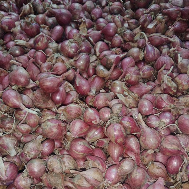 

bawang merah probolinggo tanggung campur 1kg