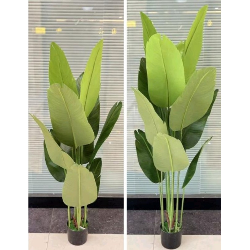 [Daun set pot] tanaman hias plastik pohon pisang artificial  ekstra jumbo / tanaman hias sudut / poh