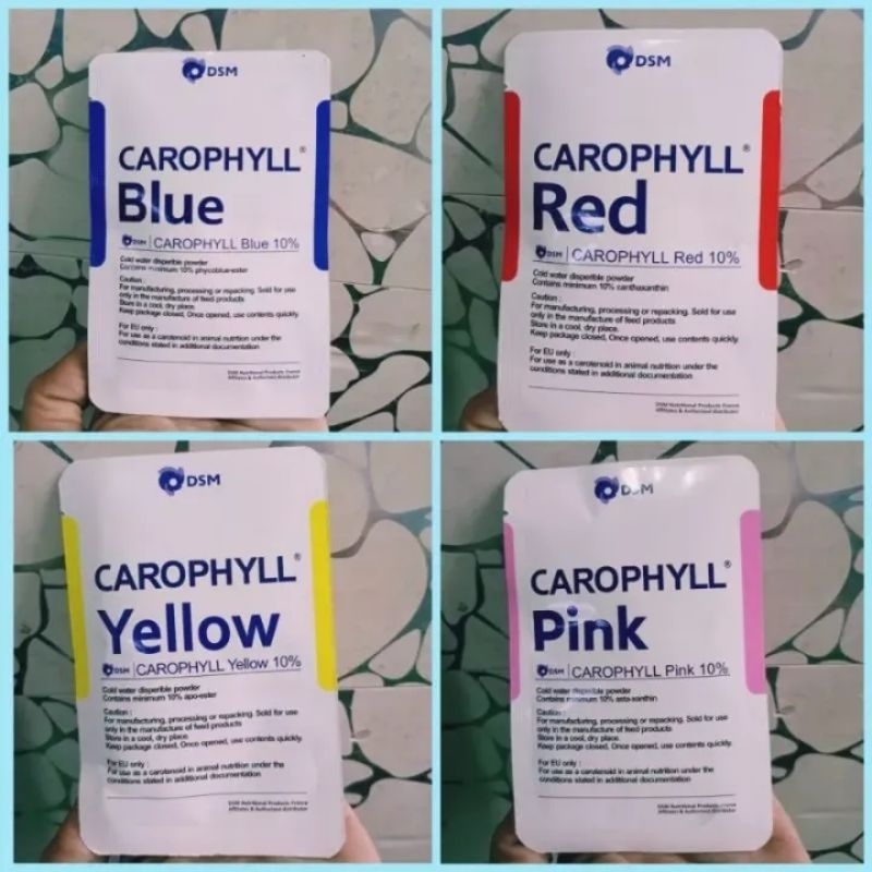 pigmen mutasi warna blue,yellow,pink,red / pigmen mutasi warna ikan / progres warna ikan / karopil /