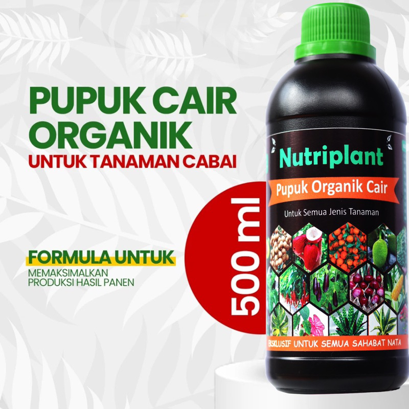 Pupuk Organik Cair Cabai | Nutrisi Tanaman cabai | Pupuk Organik Cair Cabai Rawit