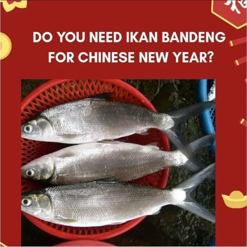 

Ikan Bandeng