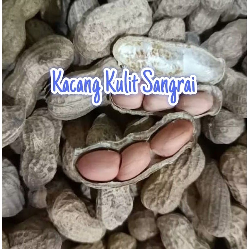 

Kacang Kulit Sangrai