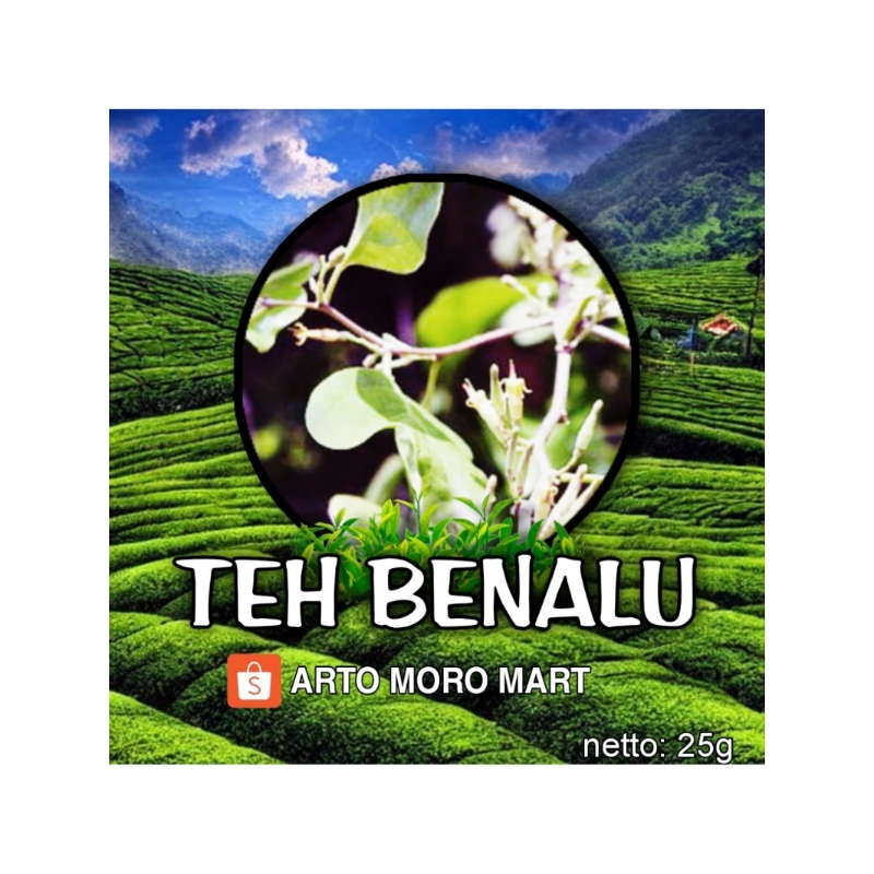 

[ASLI MURNI] Anti kanker , Benalu Teh kering 10g