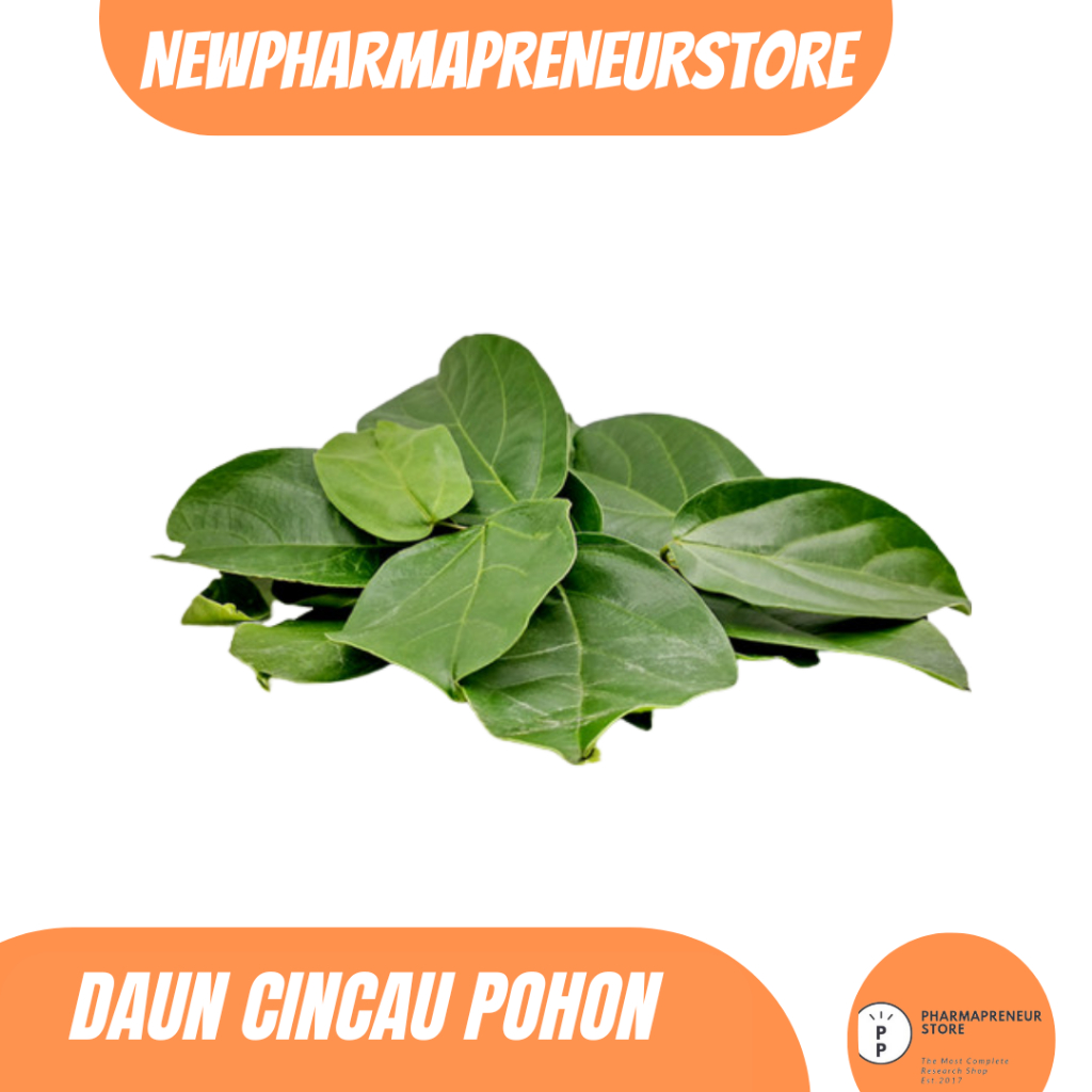 

DRIED SERBUK DAUN CINCAU BEST QUALITY