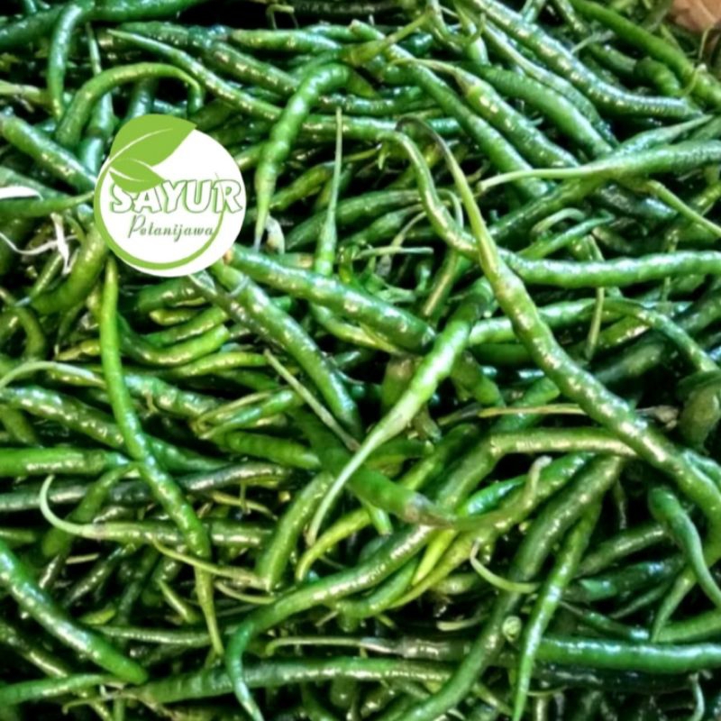 

Cabai Hijau Keriting | Cabai hijau keriting 250gr