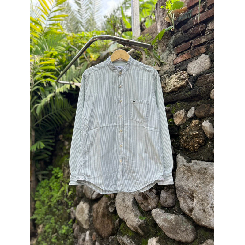 Kemeja Lacoste Stripw Green & White Second Original