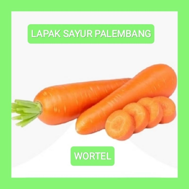 

WORTEL
