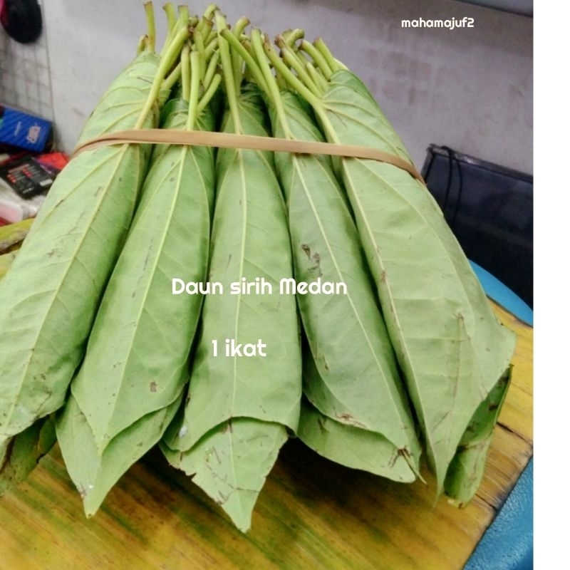 

DAUN SIRIH 1 PEDI (PODI) DARI MEDAN 5 KEPIT( BARIS)