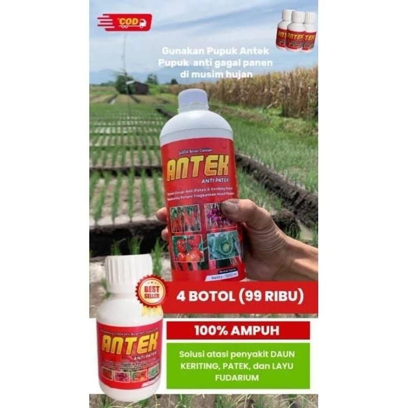 Pupuk Antek 1Ltr Anti Patek dan Keriting Daun Paling Ampuh Untuk Tanaman Cabe Keriting