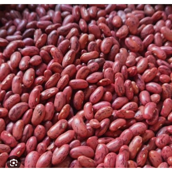 

kacang joglo ( merah lokal ) 1kg