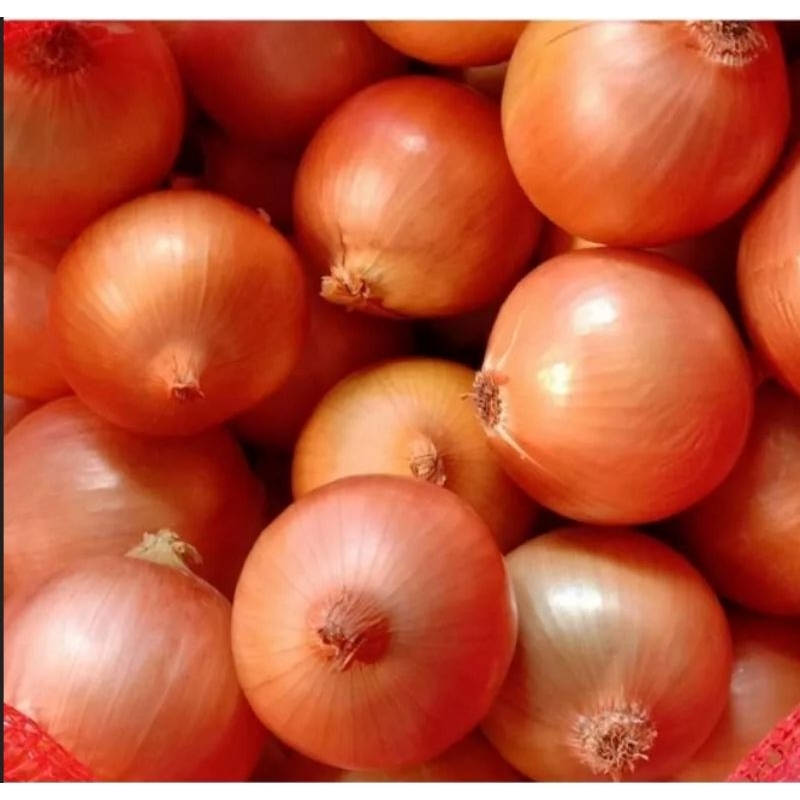 

Bawang Bombay Botak fresh 1kg