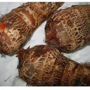 

umbi talas gajah pulen Berkualitas 1 kg