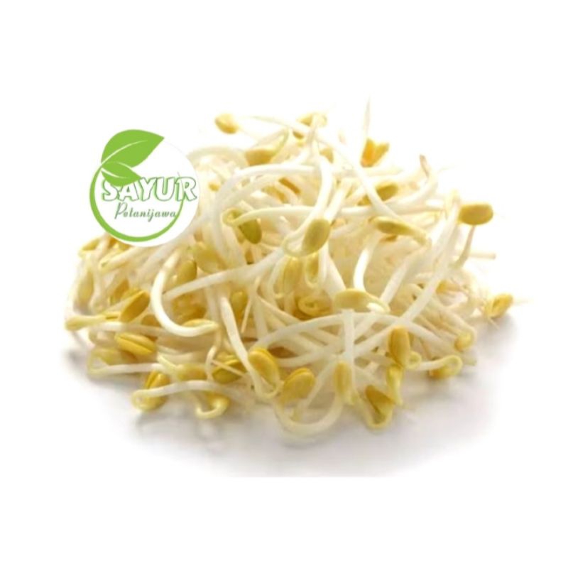 

TAUGE / Toge fresh | Toge segar 250gr
