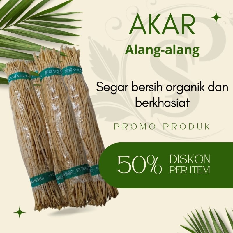 

Akar Alang Alang Segar 500gram Obat Herbal Tradisional