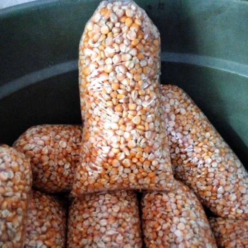 

JAGUNG SEDENG