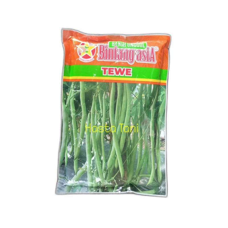 Benih Buncis TEWE 500Gr