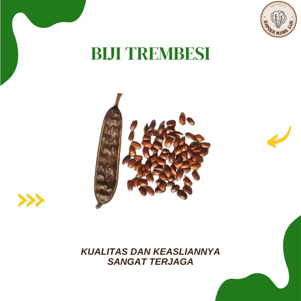 

EKSTRAK BIJI TREMBESI BEST SELLER