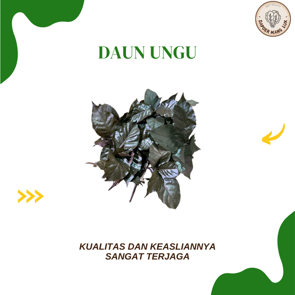 

DRIED SERBUK DAUN UNGU BEST SELLER