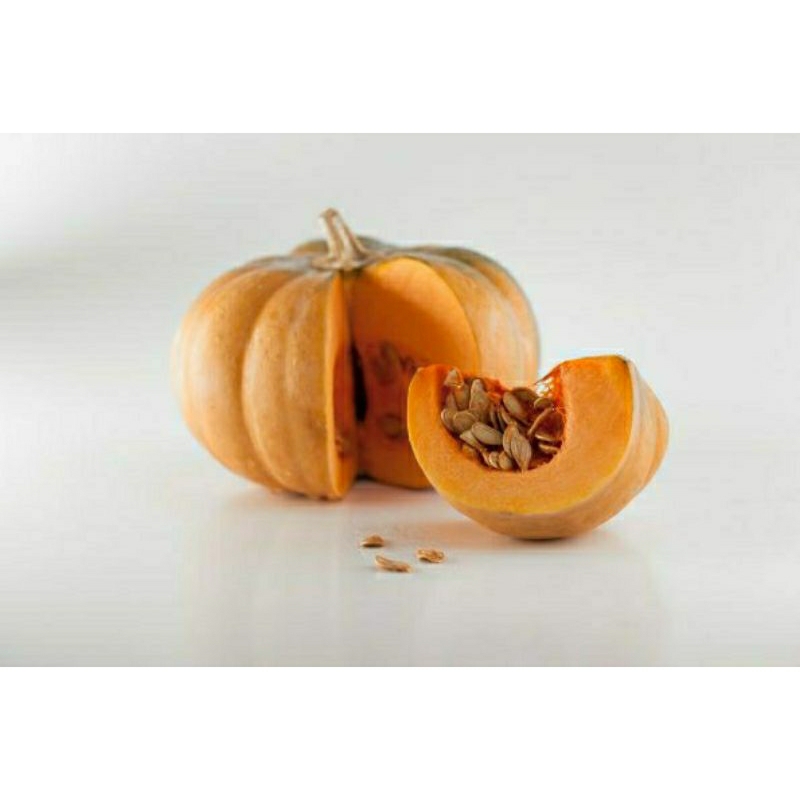 PROMO 50 BIJI BENIH LABU KUNING SUPERAN