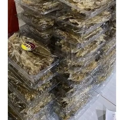 

ikankeringkertas