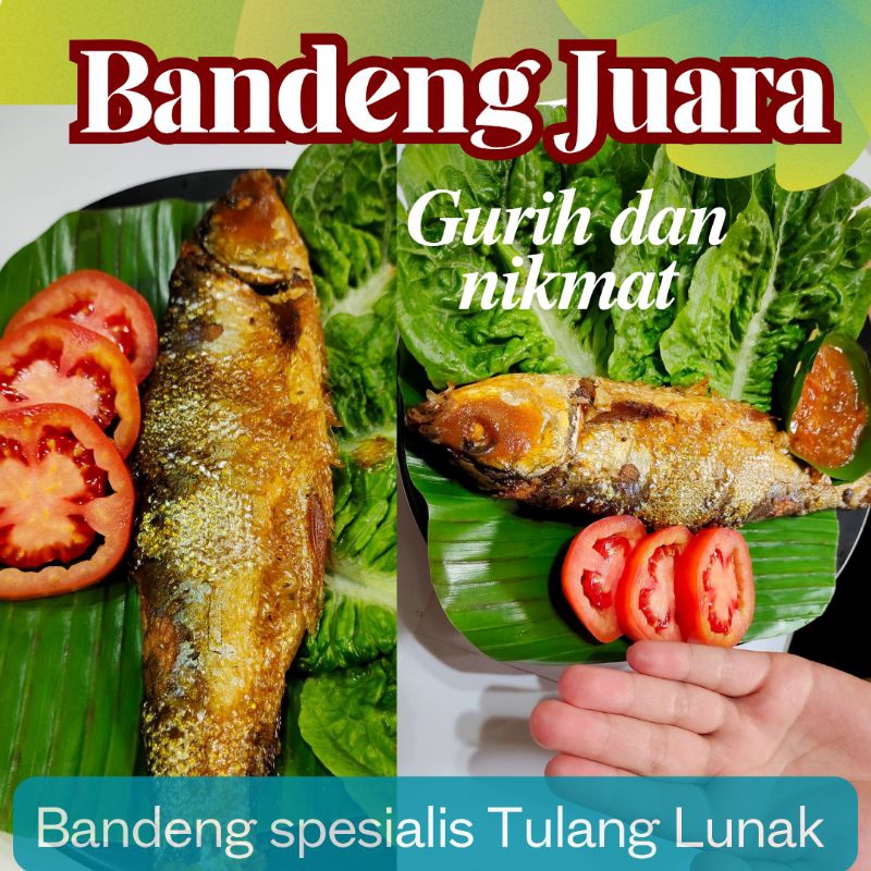 

Bandeng Juara Tulang Lunak Vakum Basah 150-200gr