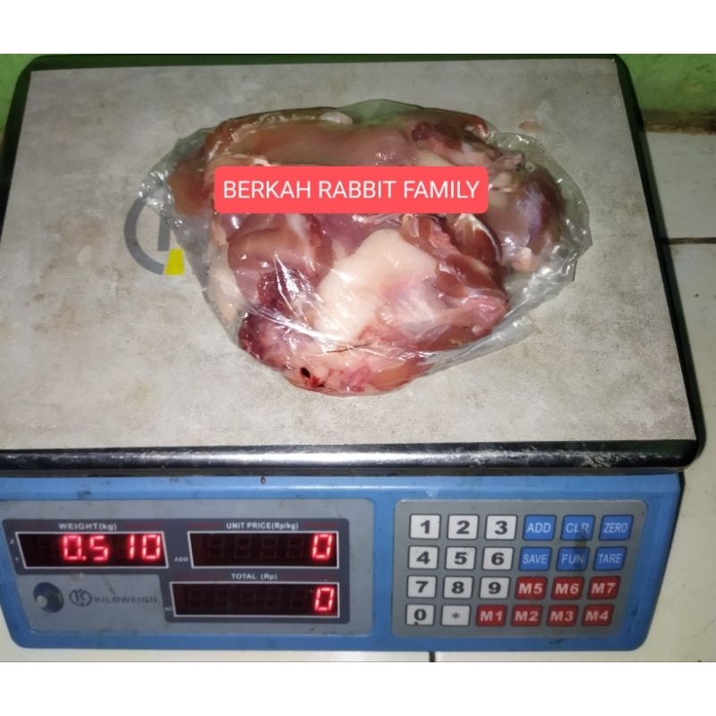 

Daging Kelinci Fillet