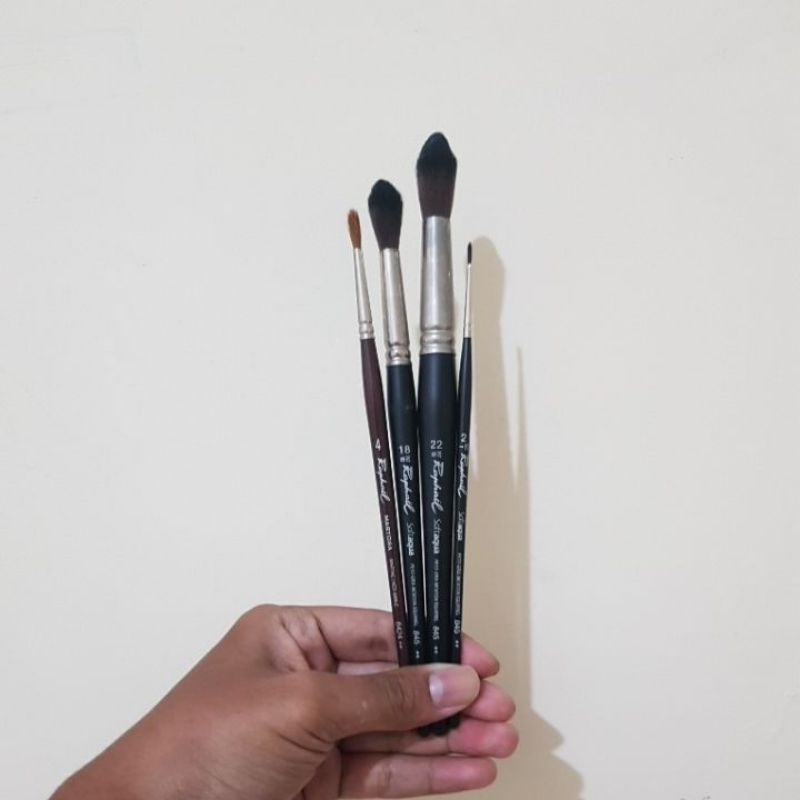 

brush raphael preloved take all