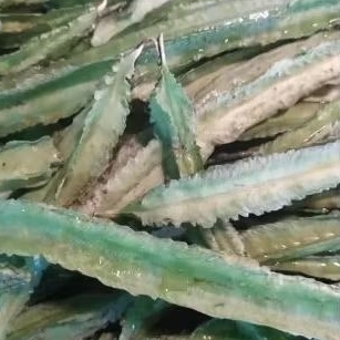 

kecipir. 500gr.Rp.12.000