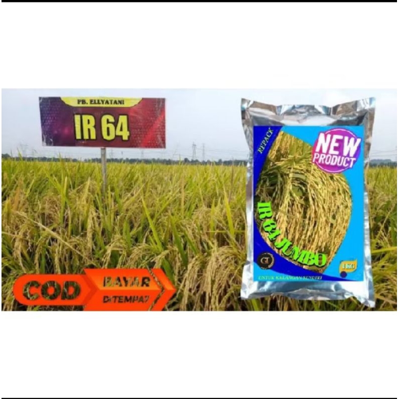 BENIH PADI IR 64 SUPER /REPACK JUMBO UNGGUL PER 1KG