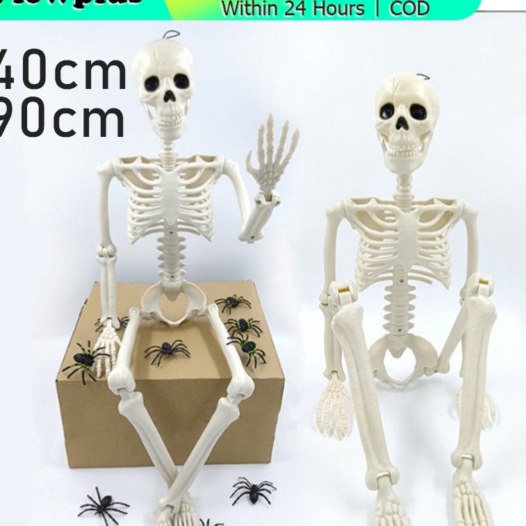 

Bisa Cod Model Kerangka Manusia Dewasa Alat Peraga Pendidikan Ukuran Tinggi 94cm