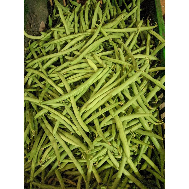 

Buncis super 500 gr