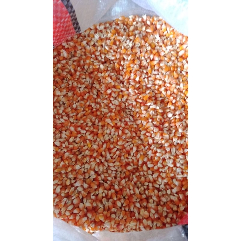 

Jagung Kristal Oren Kecil Kemasan 2 varian 500 gram / 1 Kg