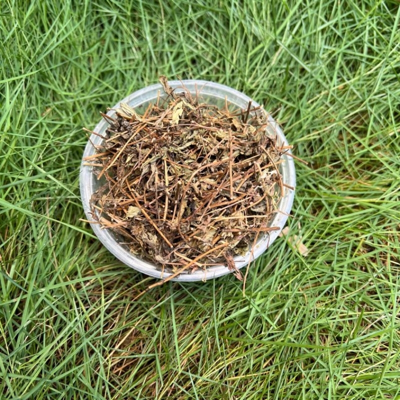 

(50g) Daun Mint Peppermint MURNI Kering Herbal Tradisional Jurus Sehat Rempah JSR