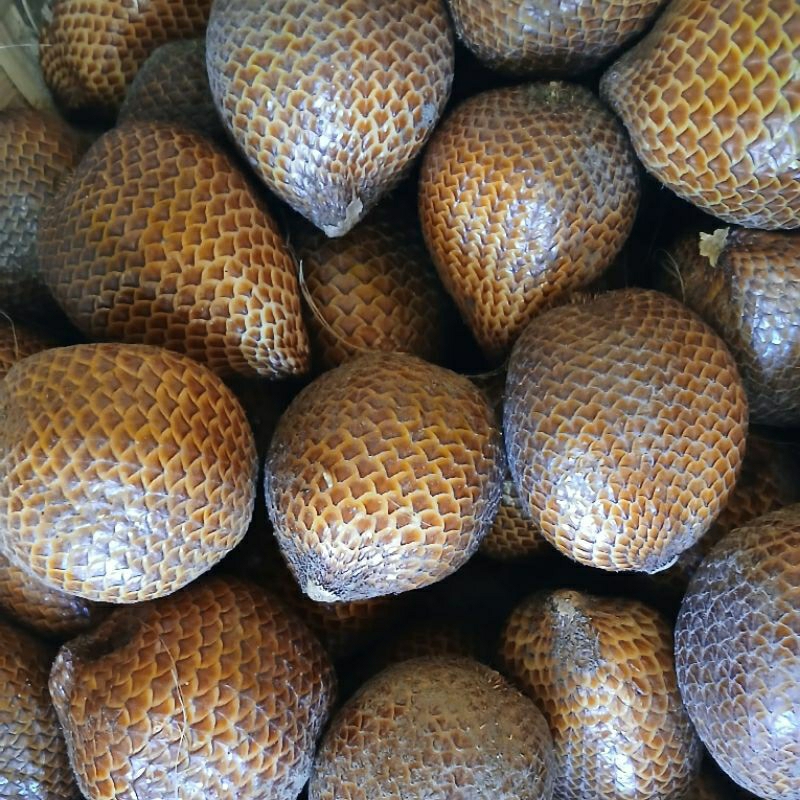 

Buah Salak Madu Asli Sleman 1Kg