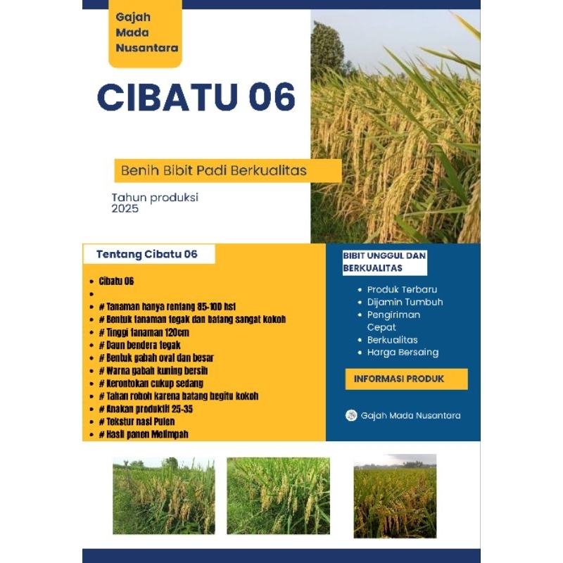 Padi Cibatu 06 1kg