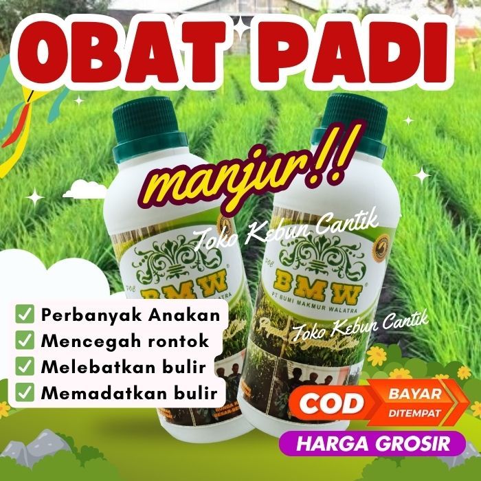 PUPUK CAIR PADI POC BMW 500ML - Pupuk NPK Cair Menambah Bobot Padi Agar Cepat Panen - Solusi Penyubu