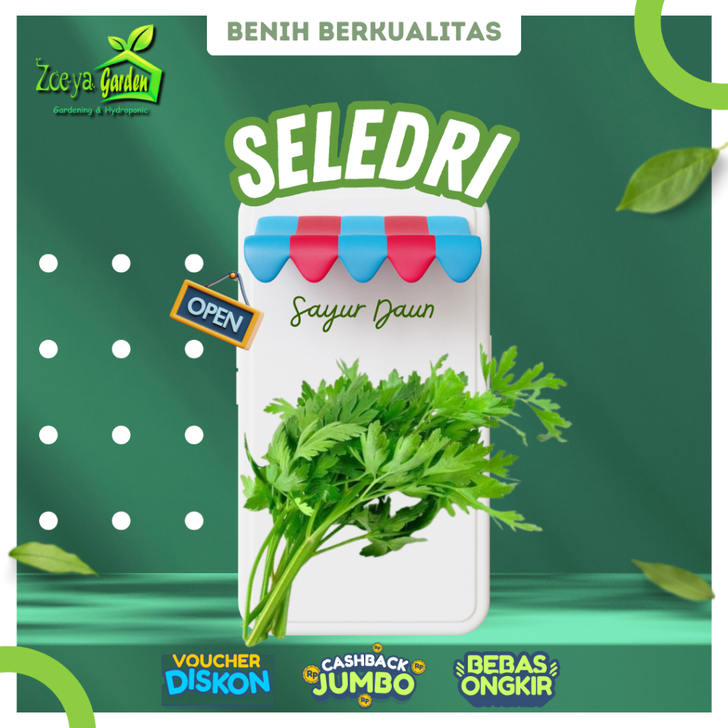 Biji / Benih / Bibit / Seed Seledri Berkualitas