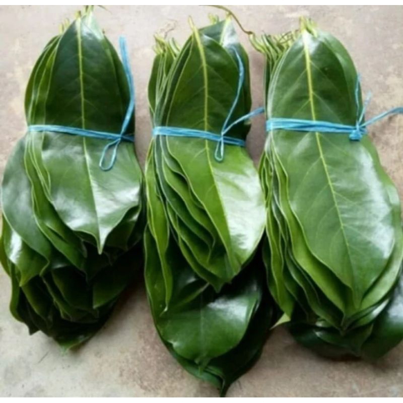 

DAUN SIRSAK 200 GRAM DI AMBIL KETIKA ADA ORDERAN GARANSI BARANG BUSUK UANG KEMBALI