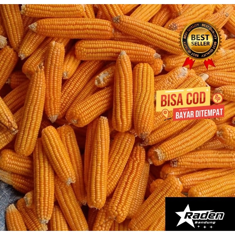 

JAGUNG PERKASA SUPER PER 1 Kg