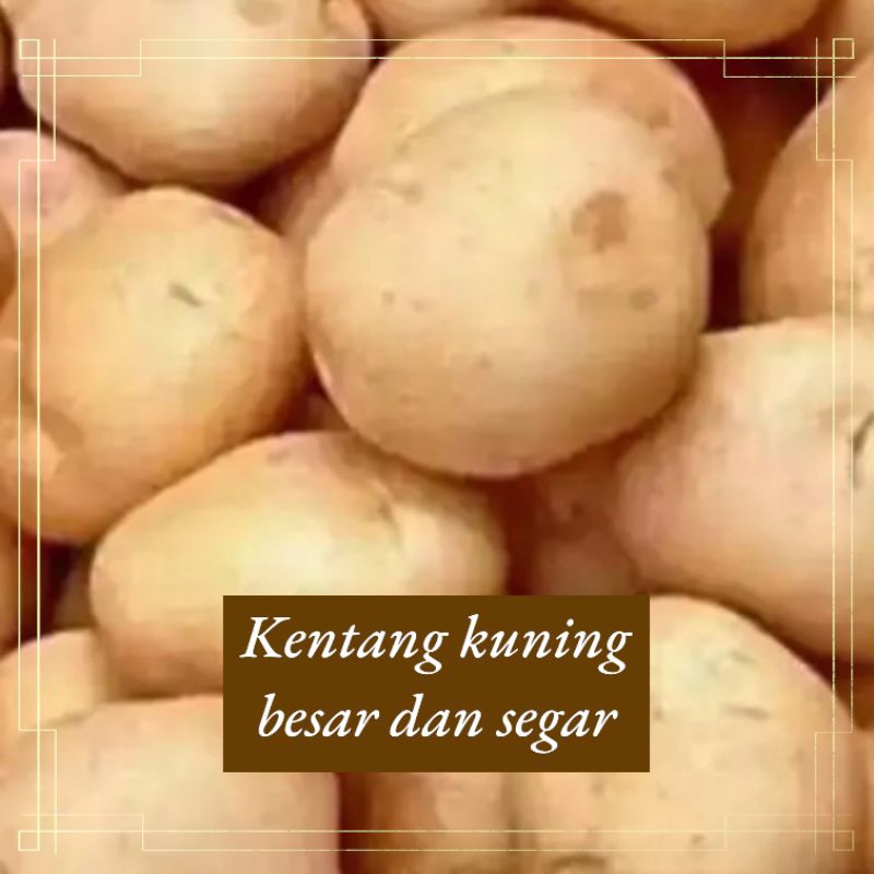 

1 KG KENTANG KUNING BESAR - POTATO FRESH