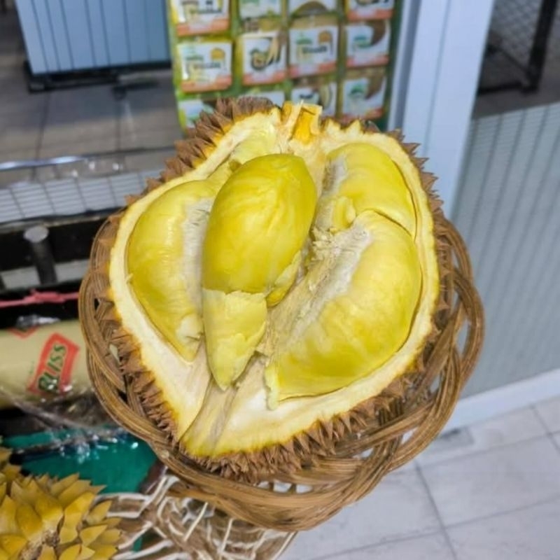 DURIAN MONTONG BALI UTUH BERAT 2kg