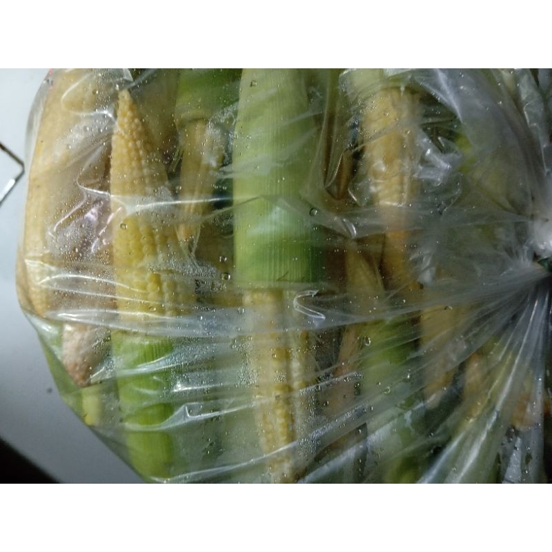 

jagung semi jagung beby jagung acar untuk berbagai macam olahan