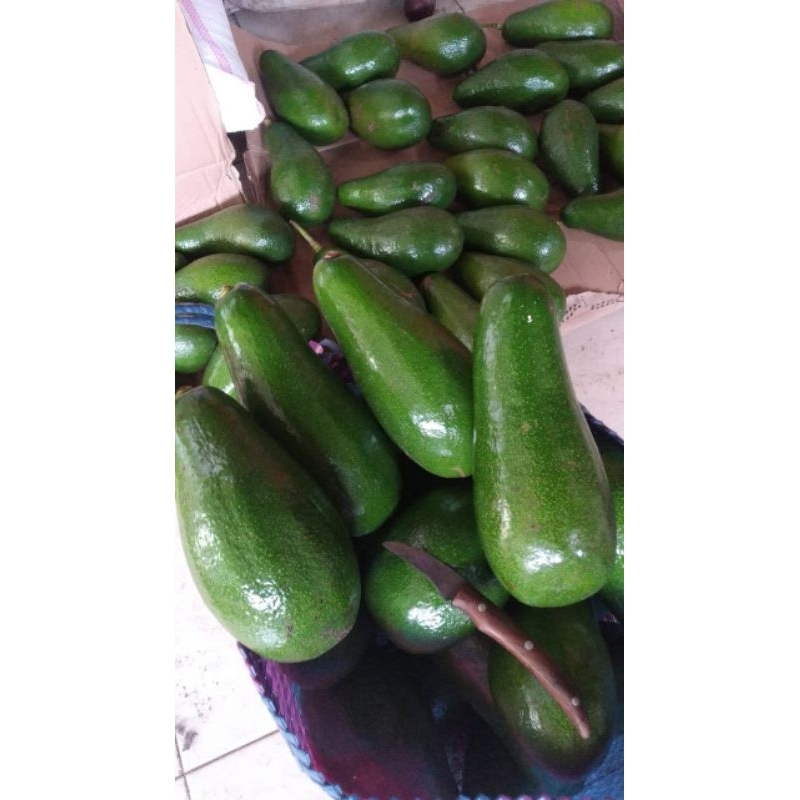 ENTRES ALPUKAT PLUWANG/PANGERAN 100% VALID