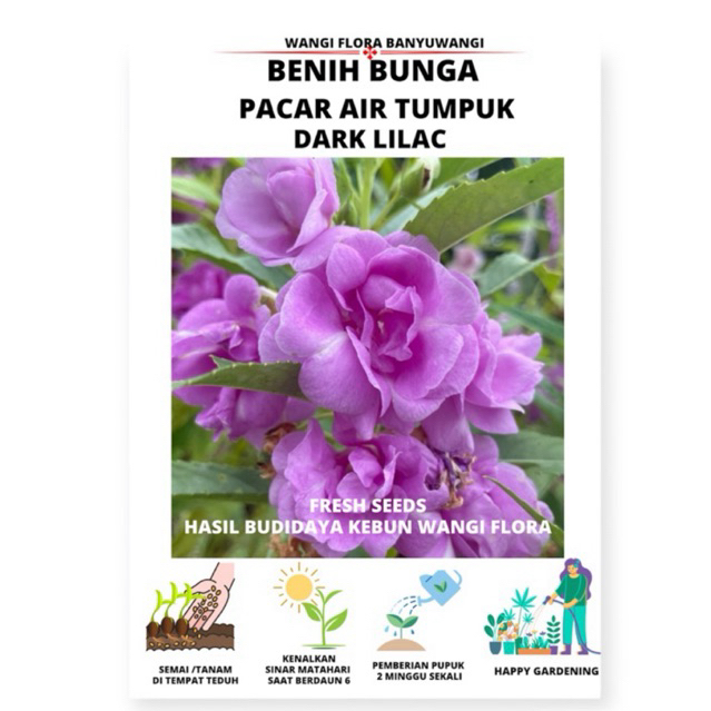 30 Biji Benih Bunga Pacar air  tumpuk dark lilac