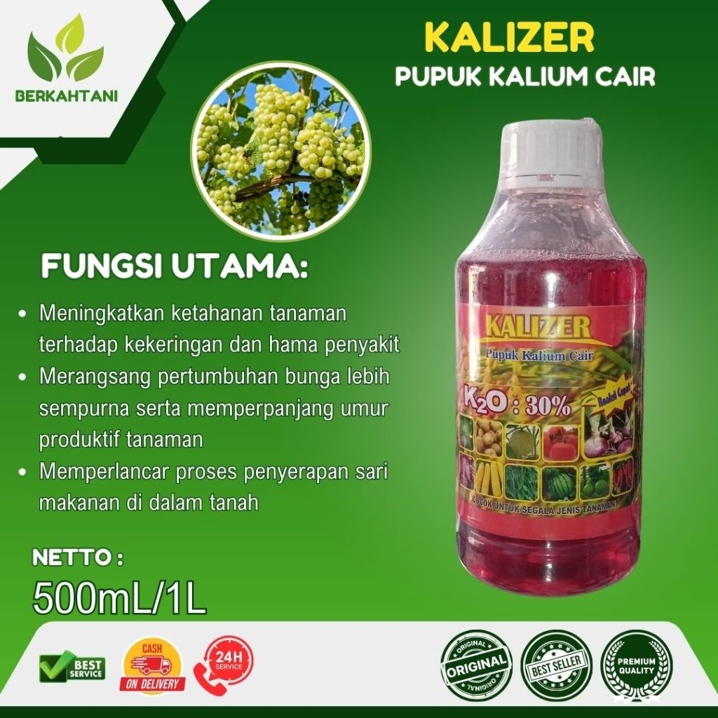 Kalizer 500 ml KCl Cair Pupuk Kalium Cair