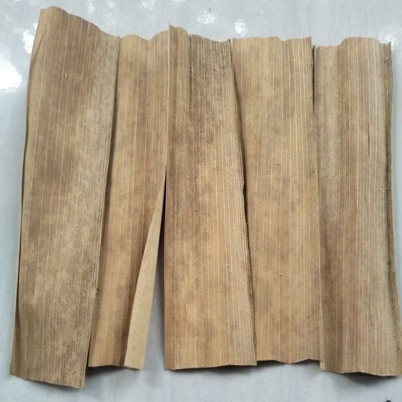 

Daun aren muda kering 50 lembar