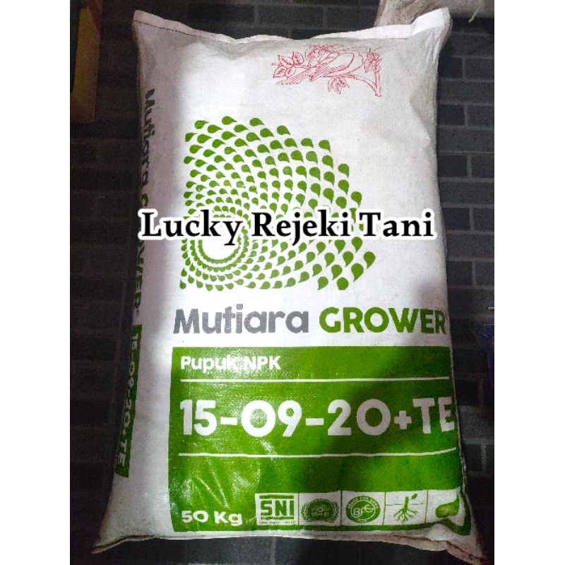 Pupuk Mutiara Grower 50Kg