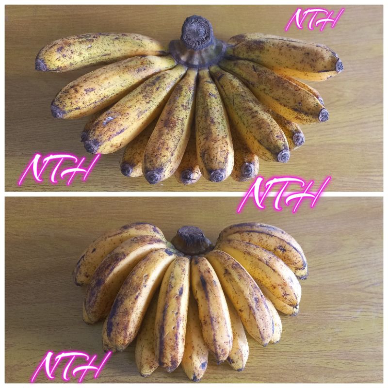 

Pisang Barangan 1 Sisir via Instant