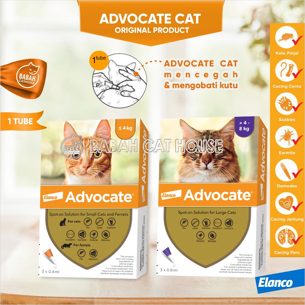 ADVOCATE CAT KITTEN Obat Tetes Anti Kutu Cacing Scabies Kucing dan Anak Kucing Pembasmi Penghilang A